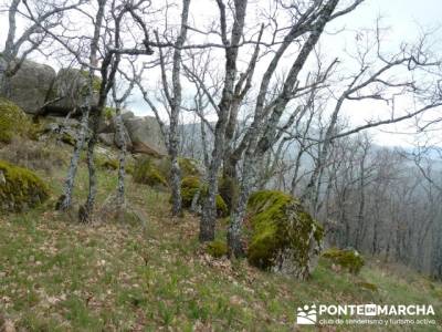 Silla de Felipe II y la Machota;senderos bizkaia;senderos cazorla